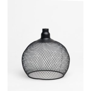 אהיל רשת - אהיל רשת C02